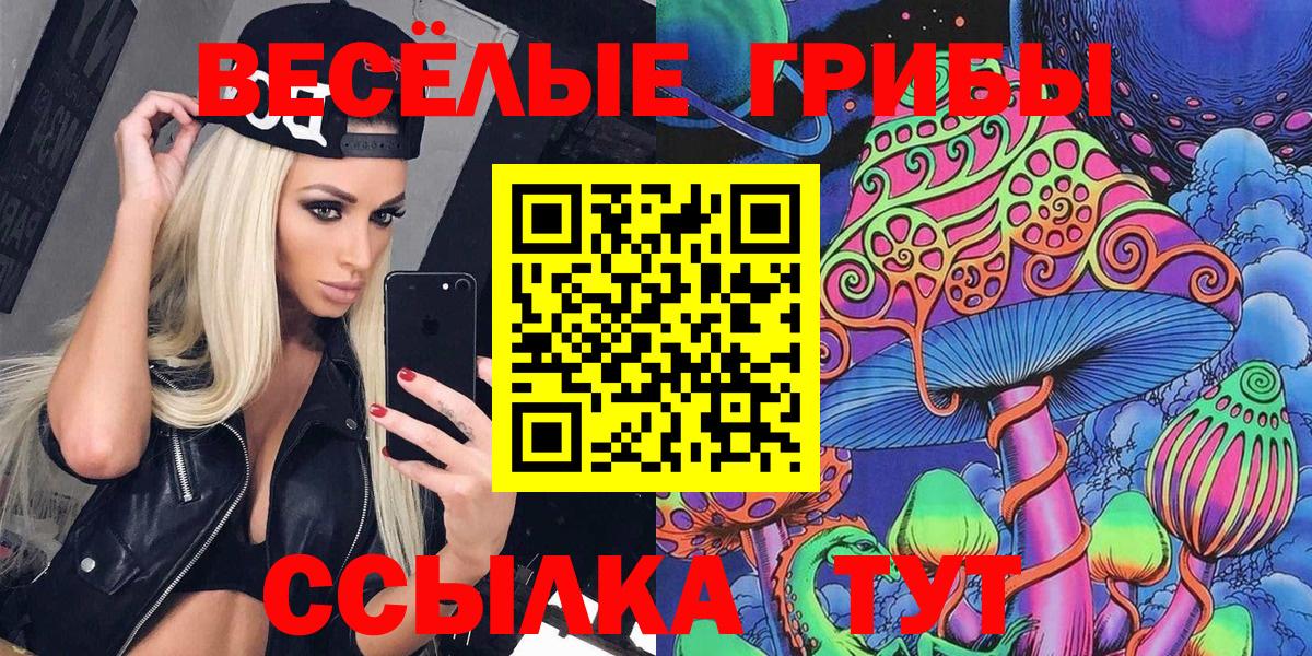 Псилоцибиновые грибы прущие грибы Большой Камень